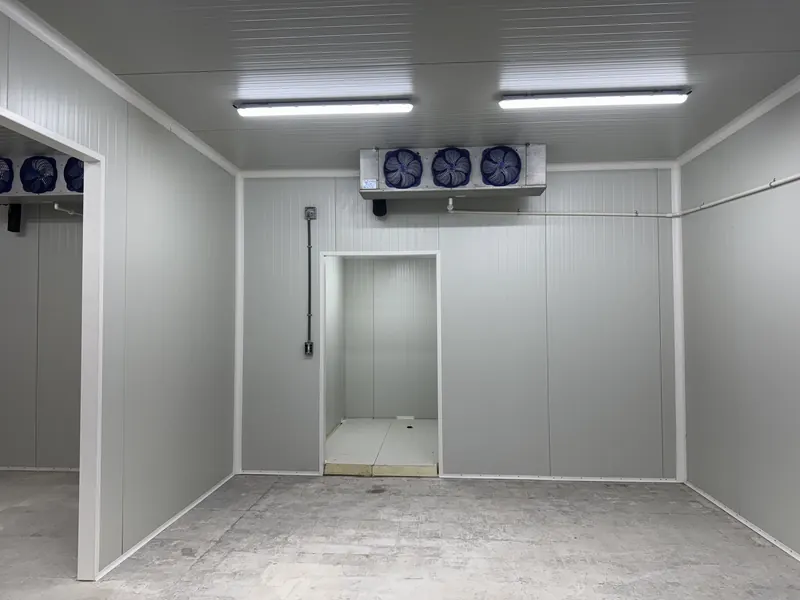 Cold-room interior with an overhead evaporator and doorways between storage zones